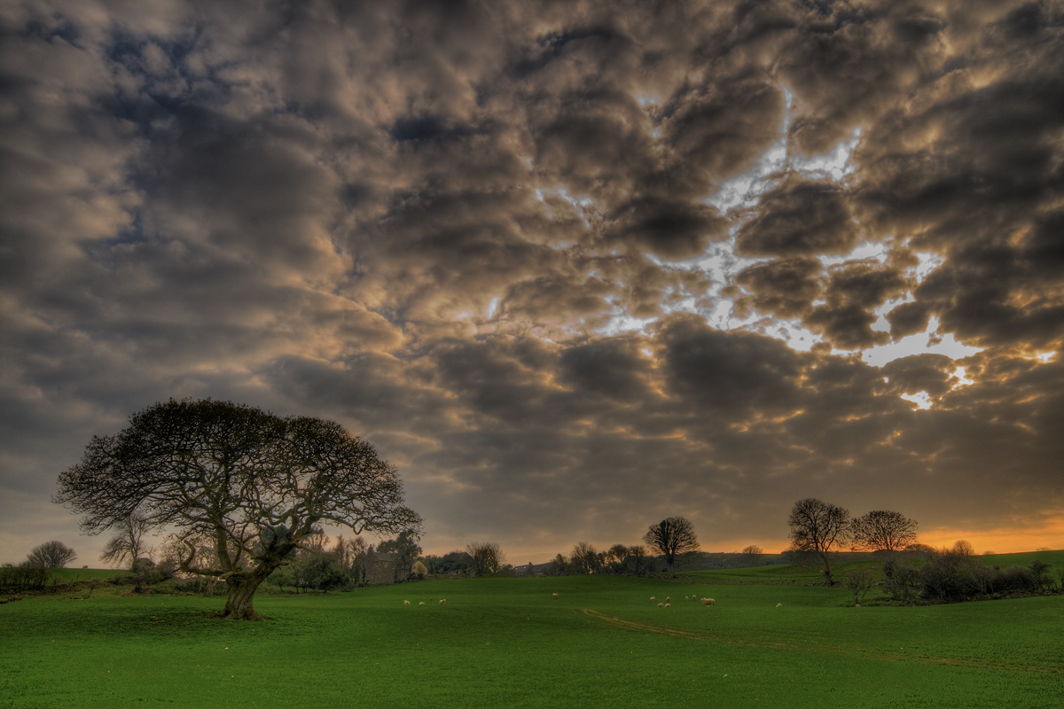 Pic by Carl Jones (_belial on Flickr).