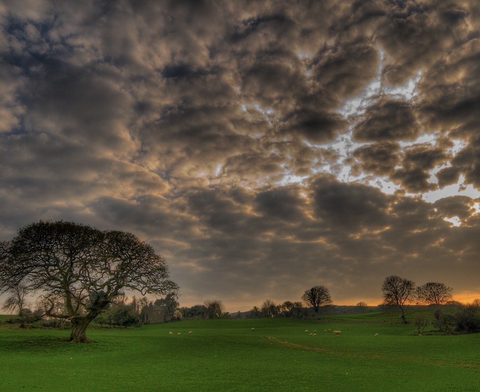 Pic by Carl Jones (_belial on Flickr).